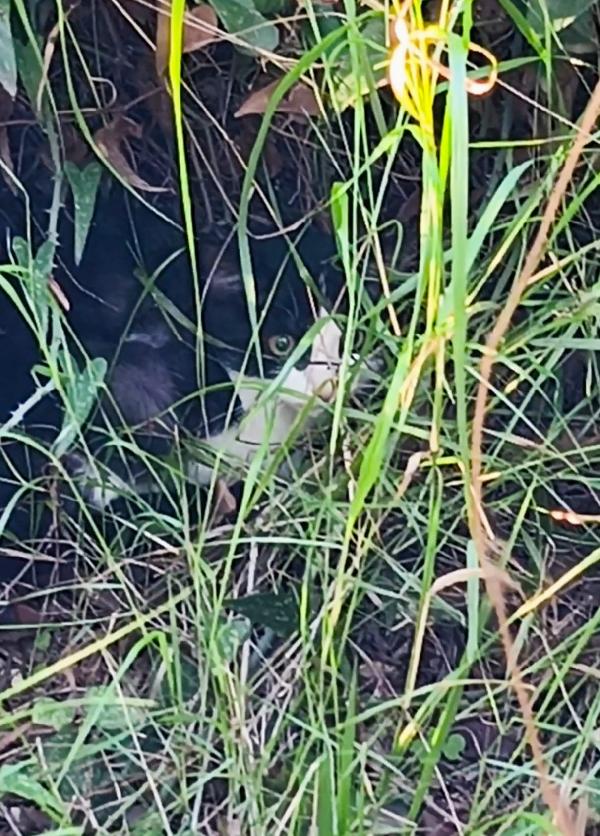  Mercoledì dal nasino rosa Foto 7